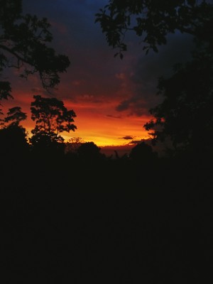 Cover seperti tidak di inginkan